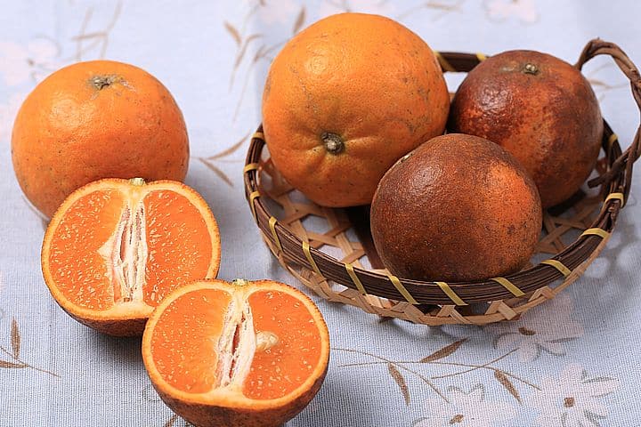 火燒桶柑10斤裝