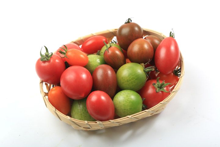 產銷履歷彩色小番茄4盒