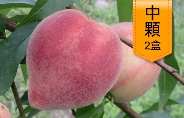 無毒水蜜桃(中顆2盒)