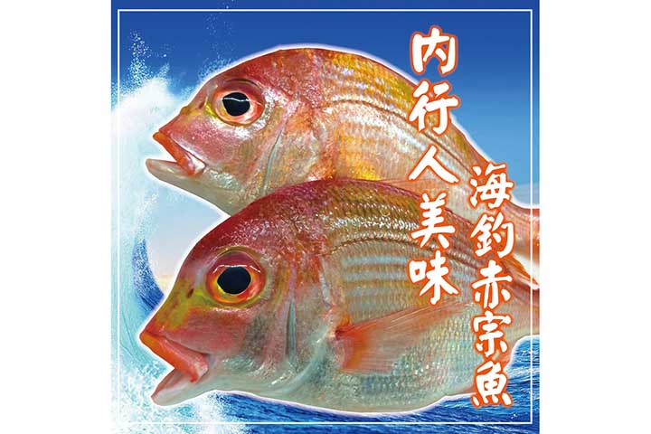 海釣赤鯮魚