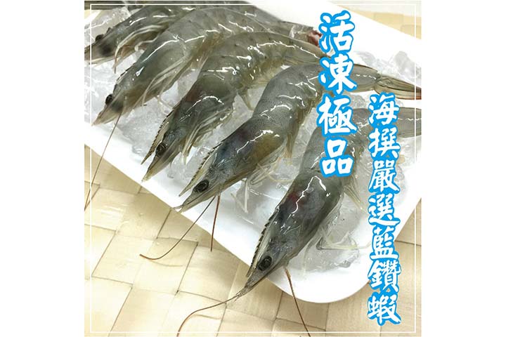 嚴選藍鑽蝦