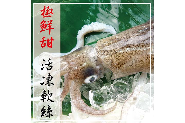 活凍軟絲