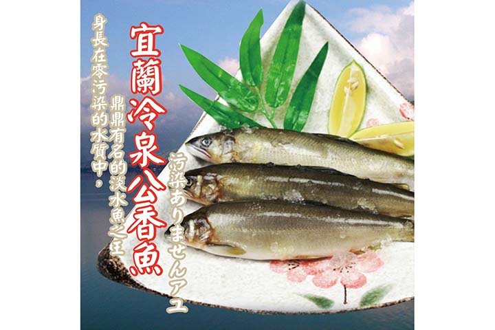 冷泉公香魚