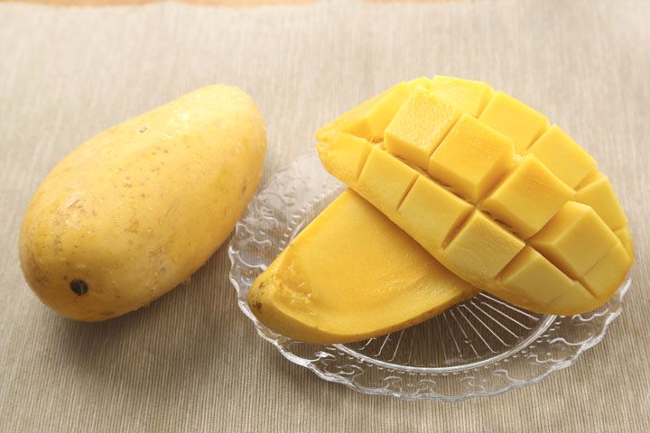 產銷履歷金煌芒果5斤(中果)
