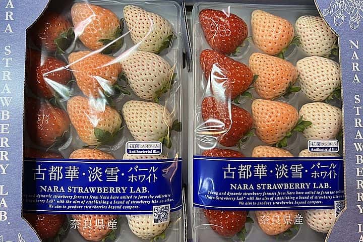 日本古都華+淡雪-三色草莓