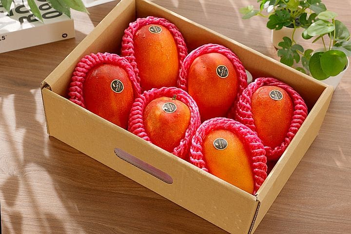 寶島級 產銷履歷愛文芒果禮盒5kg(大顆)