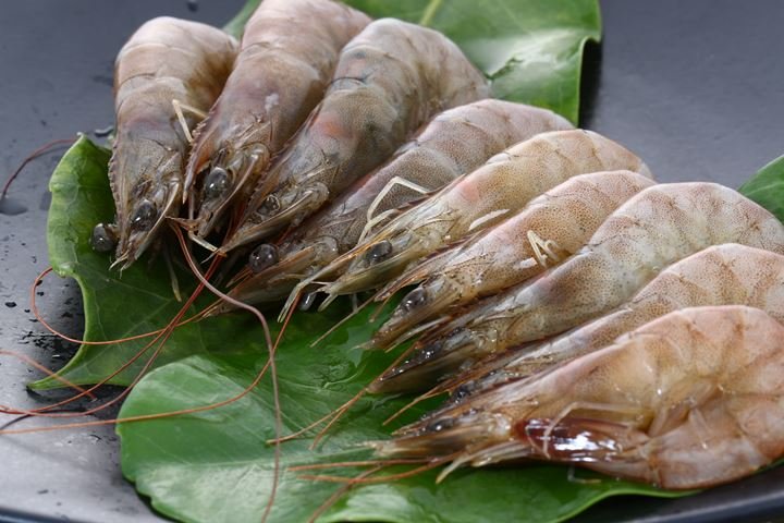 無毒霸王級白蝦
